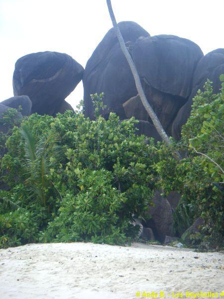 Les plages d'Anse Source d'Argent (16).JPG